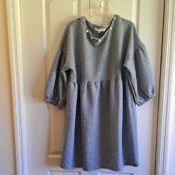 Gray  Dress with Pearl and Rhinestone Accents  Balloons Sleeves - Picture 1 of 8